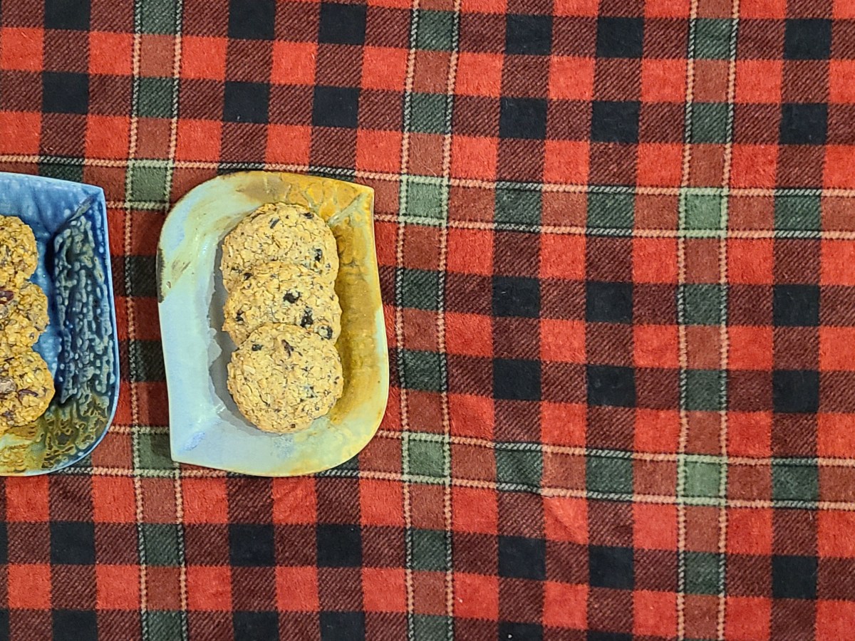 Elizabeth: Cherry & Dark Chocolate Lactation&nbsp;Cookies